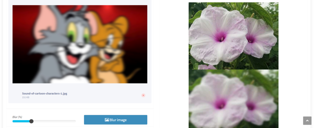 Blur image online – Free tool 