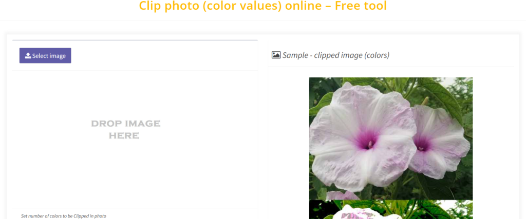 Clip photo (color values) online 