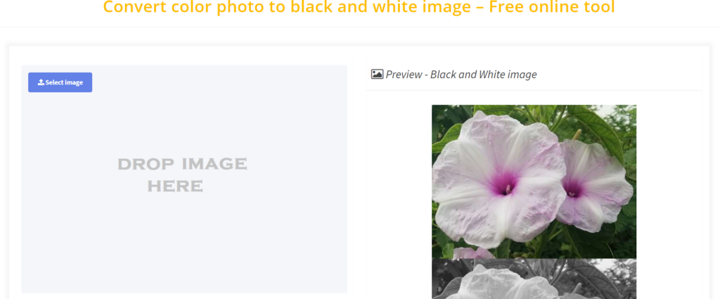 Convert color photo to black and white image