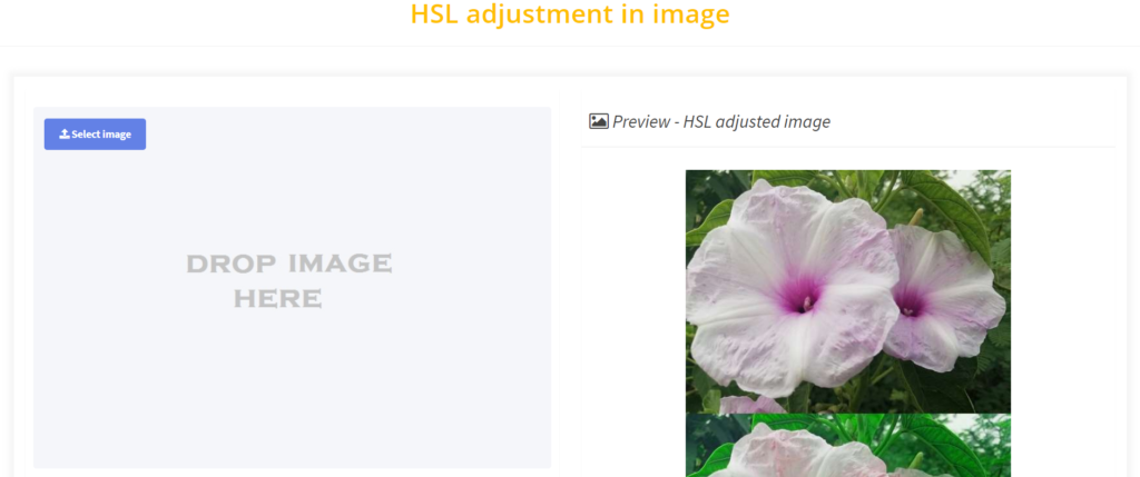 HSL adjustment 