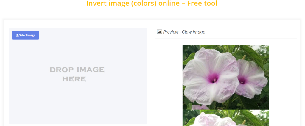 Invert image (colors) online 