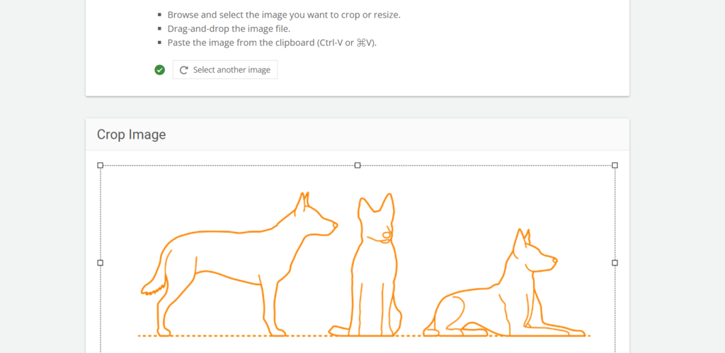 Image Resizer | Crop and Resize Image Online-2 